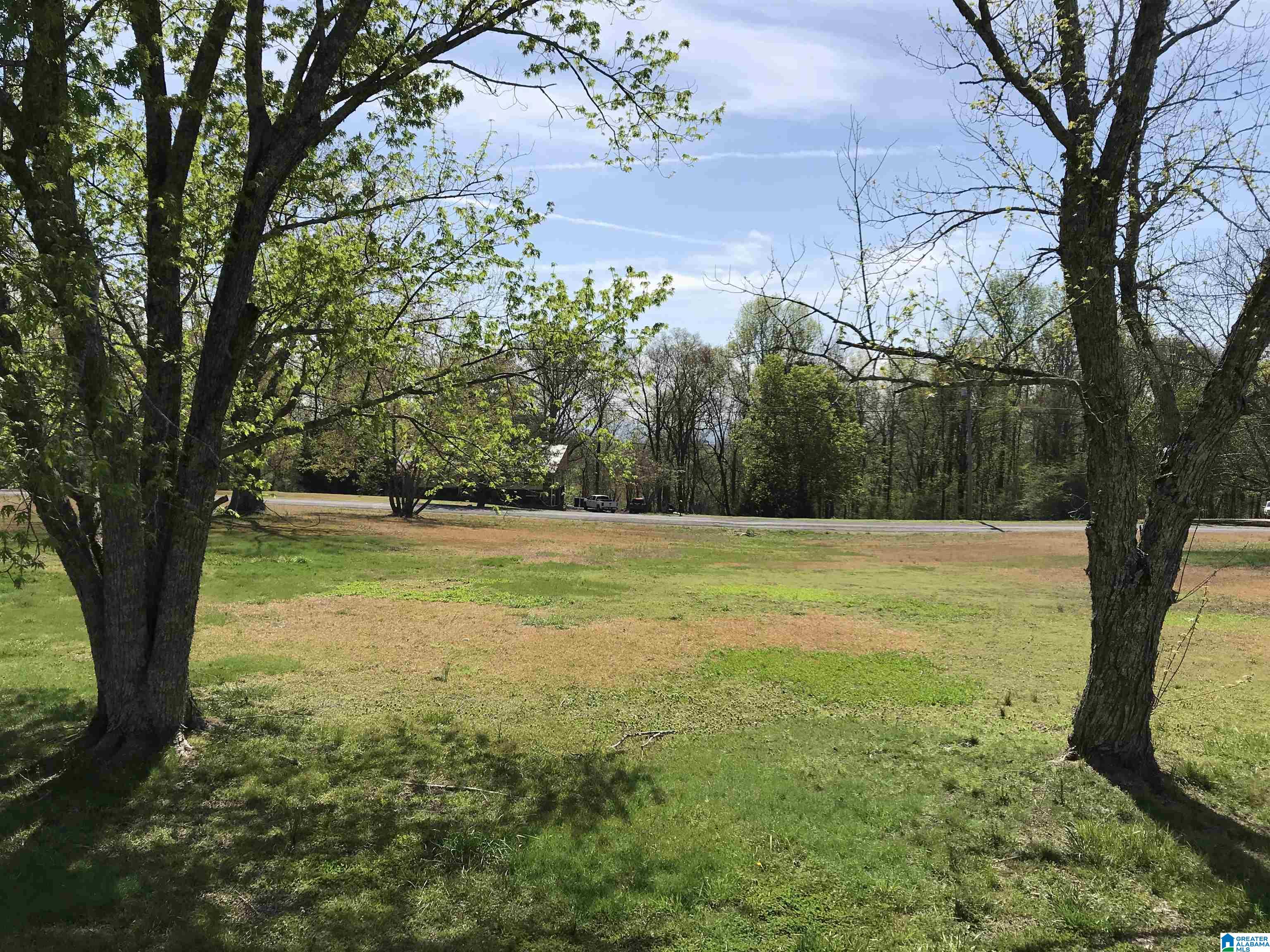 80 Bryan Lane Warrior, AL 35180 - Photo 3 of 16