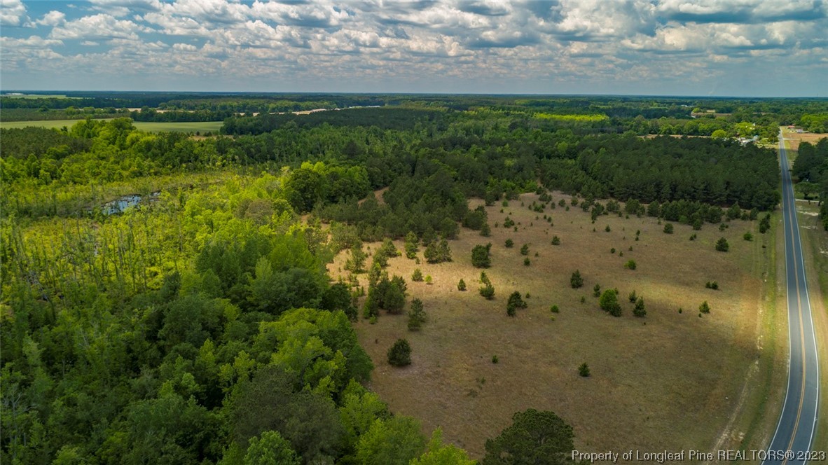 Blue Springs Road Red Springs, NC 28377 - Photo 11 of 22