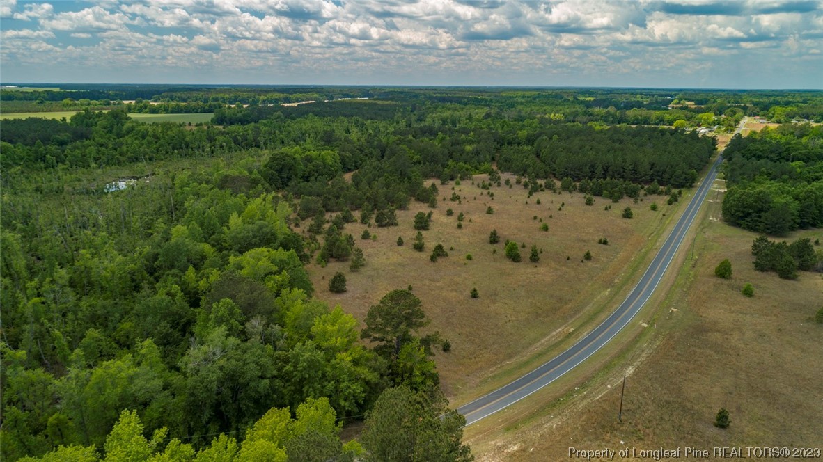Blue Springs Road Red Springs, NC 28377 - Photo 14 of 22
