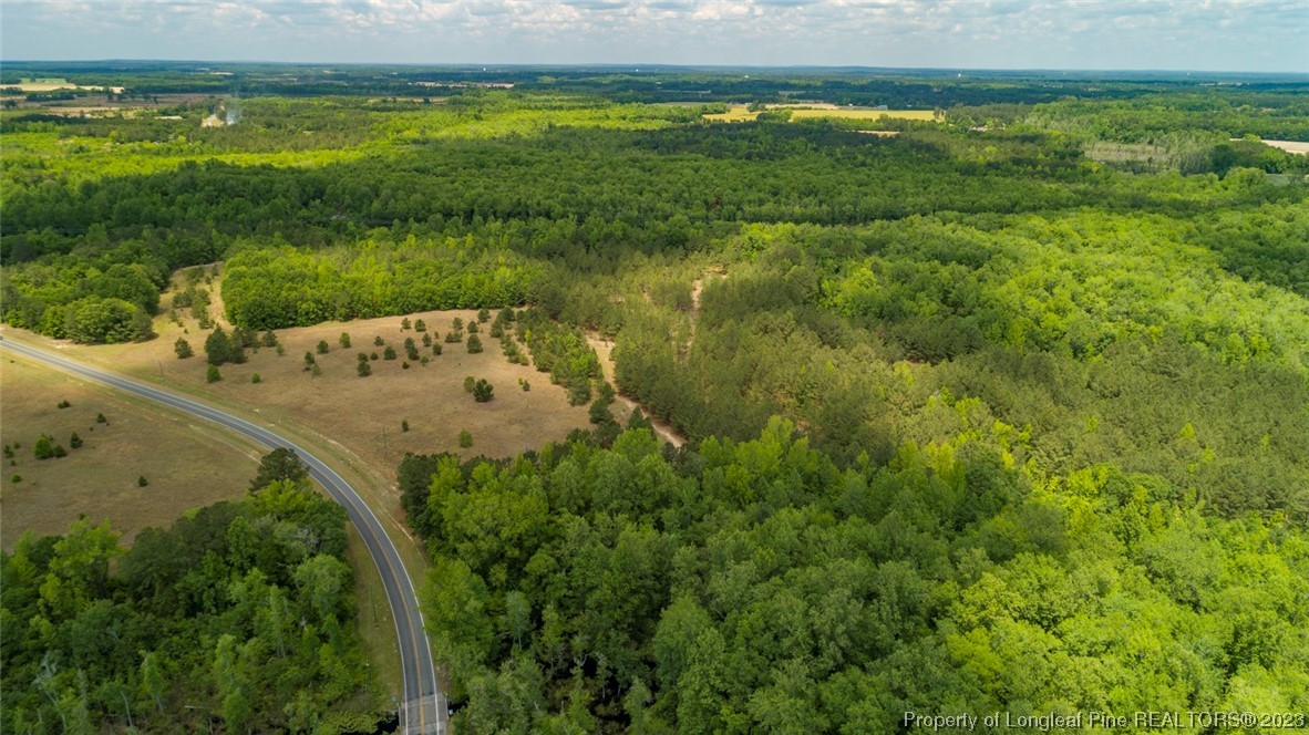 Blue Springs Road Red Springs, NC 28377 - Photo 15 of 22