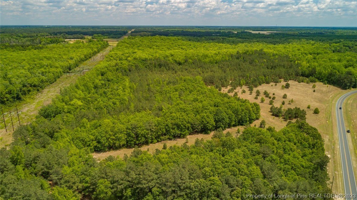 Blue Springs Road Red Springs, NC 28377 - Photo 20 of 22