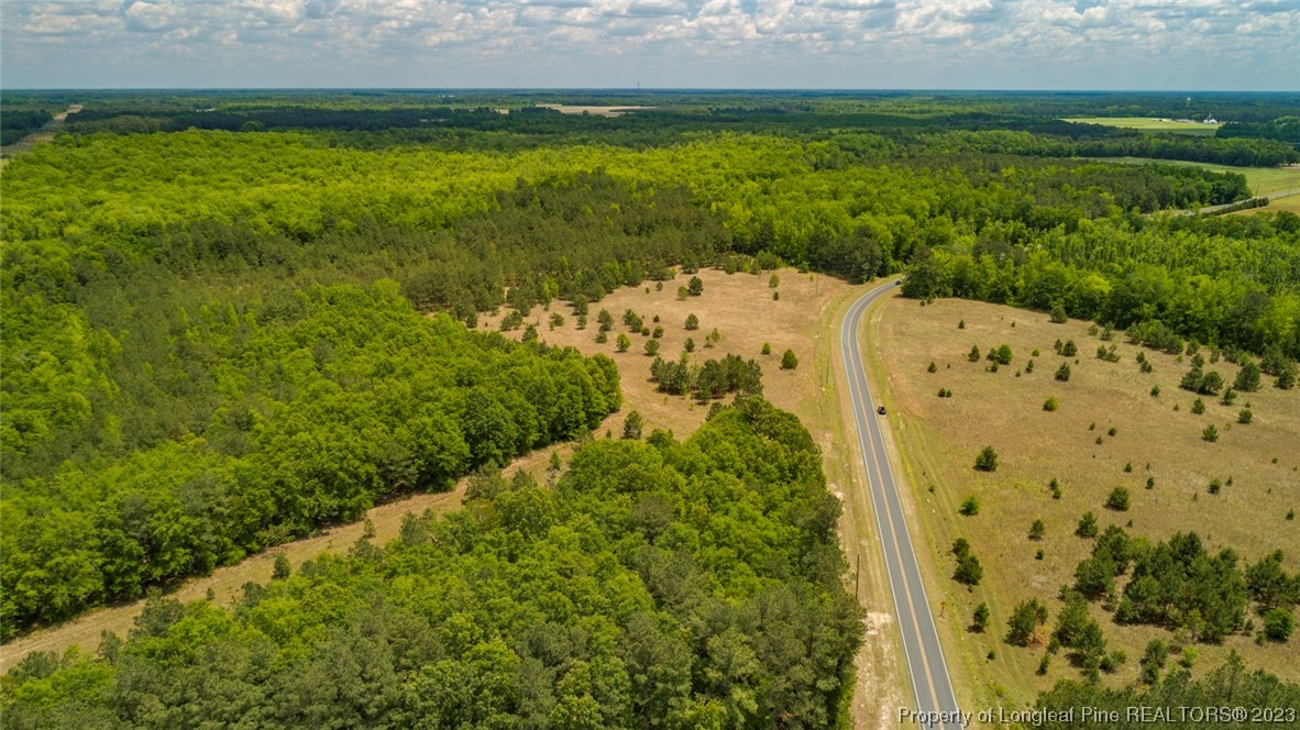 Blue Springs Road Red Springs, NC 28377 - Photo 21 of 22