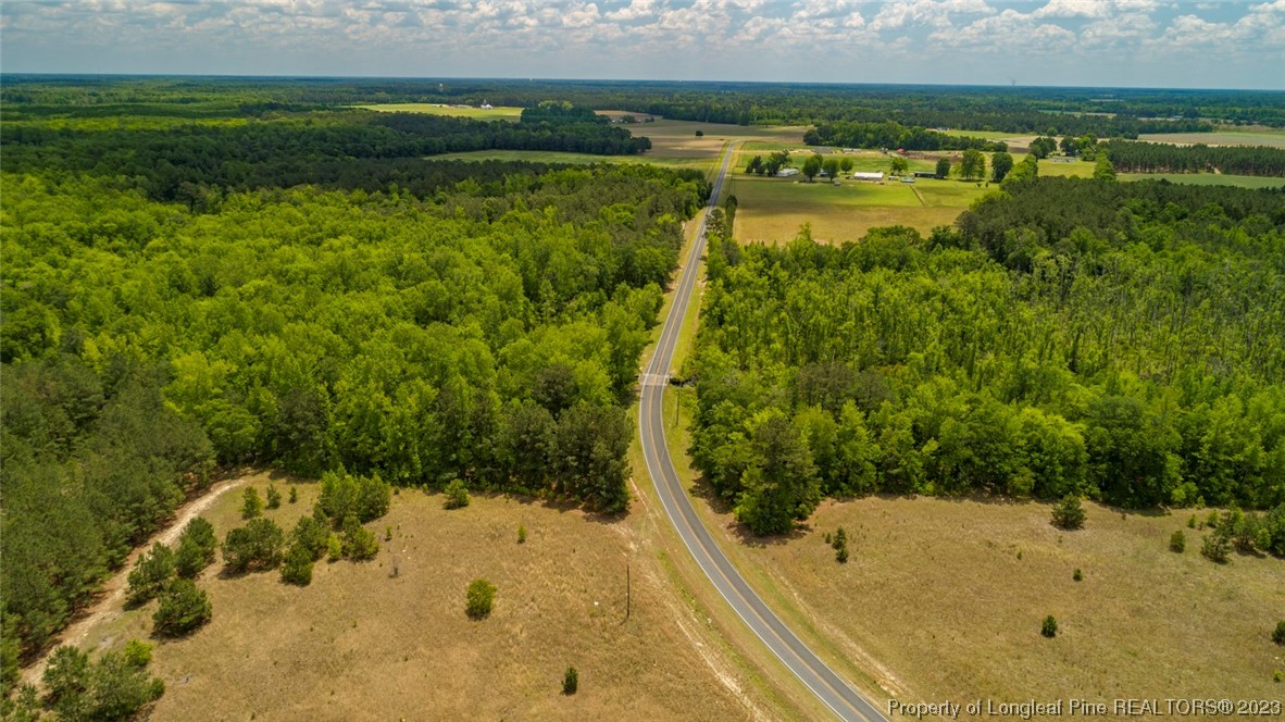 Blue Springs Road Red Springs, NC 28377 - Photo 5 of 22