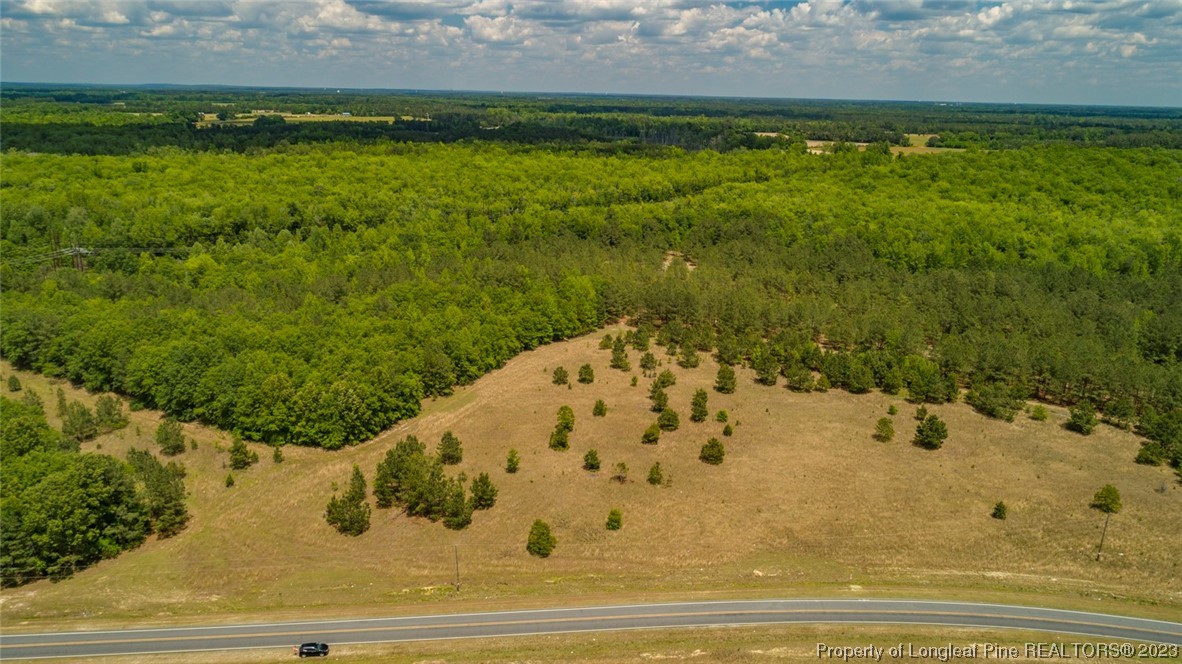 Blue Springs Road Red Springs, NC 28377 - Photo 8 of 22