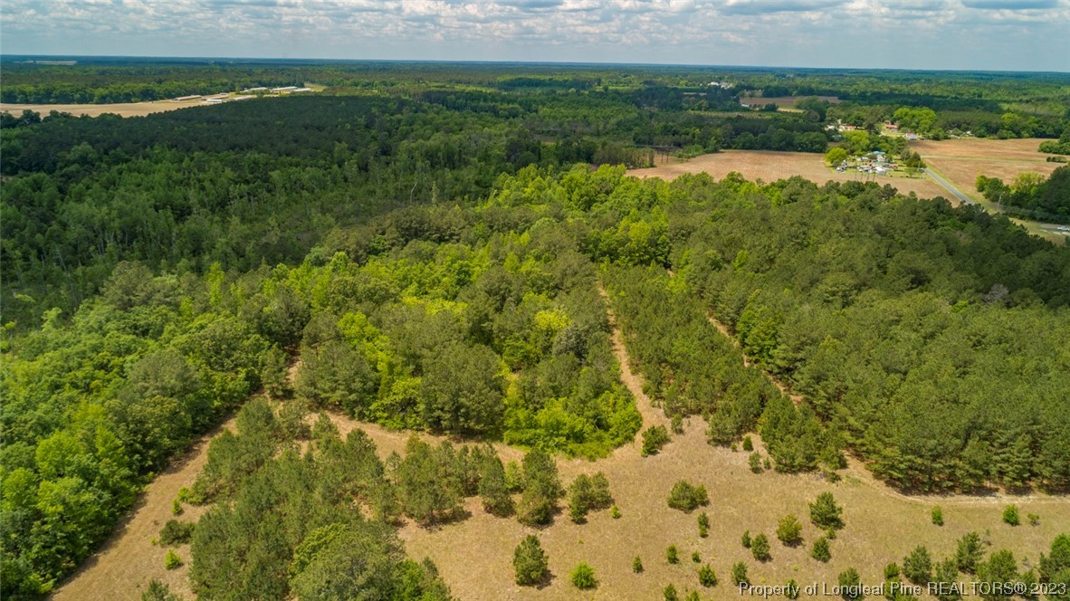 Blue Springs Road Red Springs, NC 28377 - Photo 10 of 22