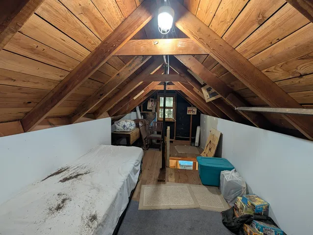 a view of backyard with large tree