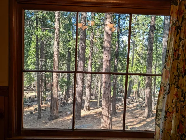 a view of a house with a tree
