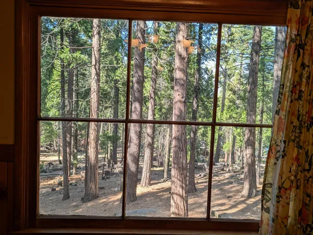 a view of a house with a tree
