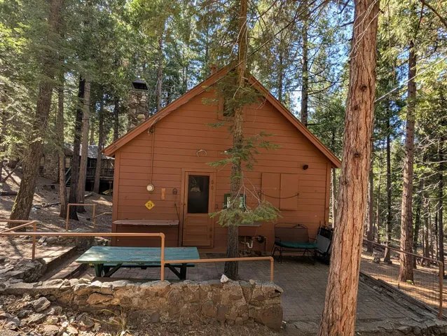 a view of a tree in a yard