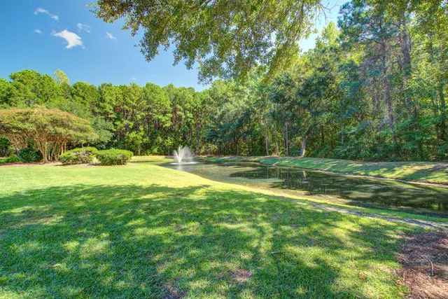 $445,000 | 202 Center Hill Court, Summerville, SC 29485