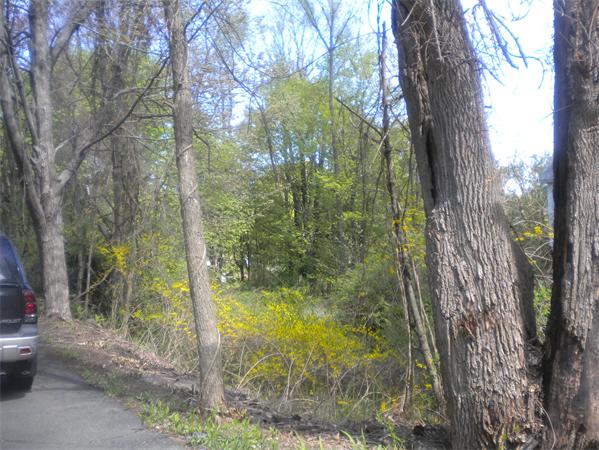 96 Walnut Hill Road Orange, MA 01364 - Photo 6 of 6