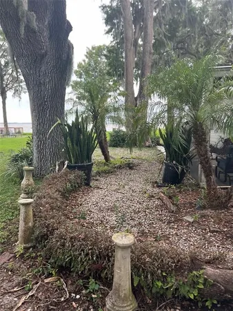 a view of a yard with a tree
