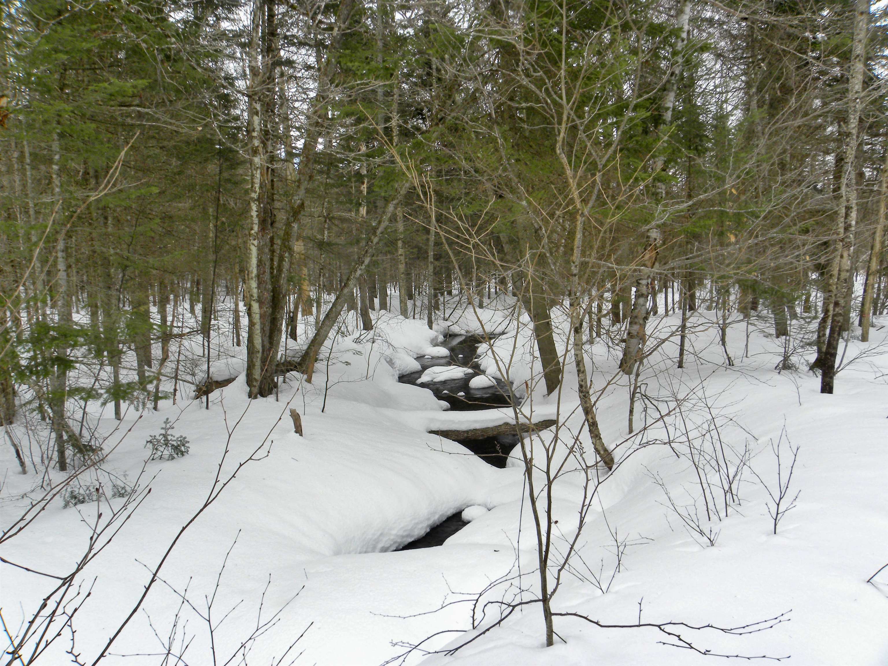 - Burbank Road Albany, VT 05820 - Photo 2 of 12 Gallery Image 2