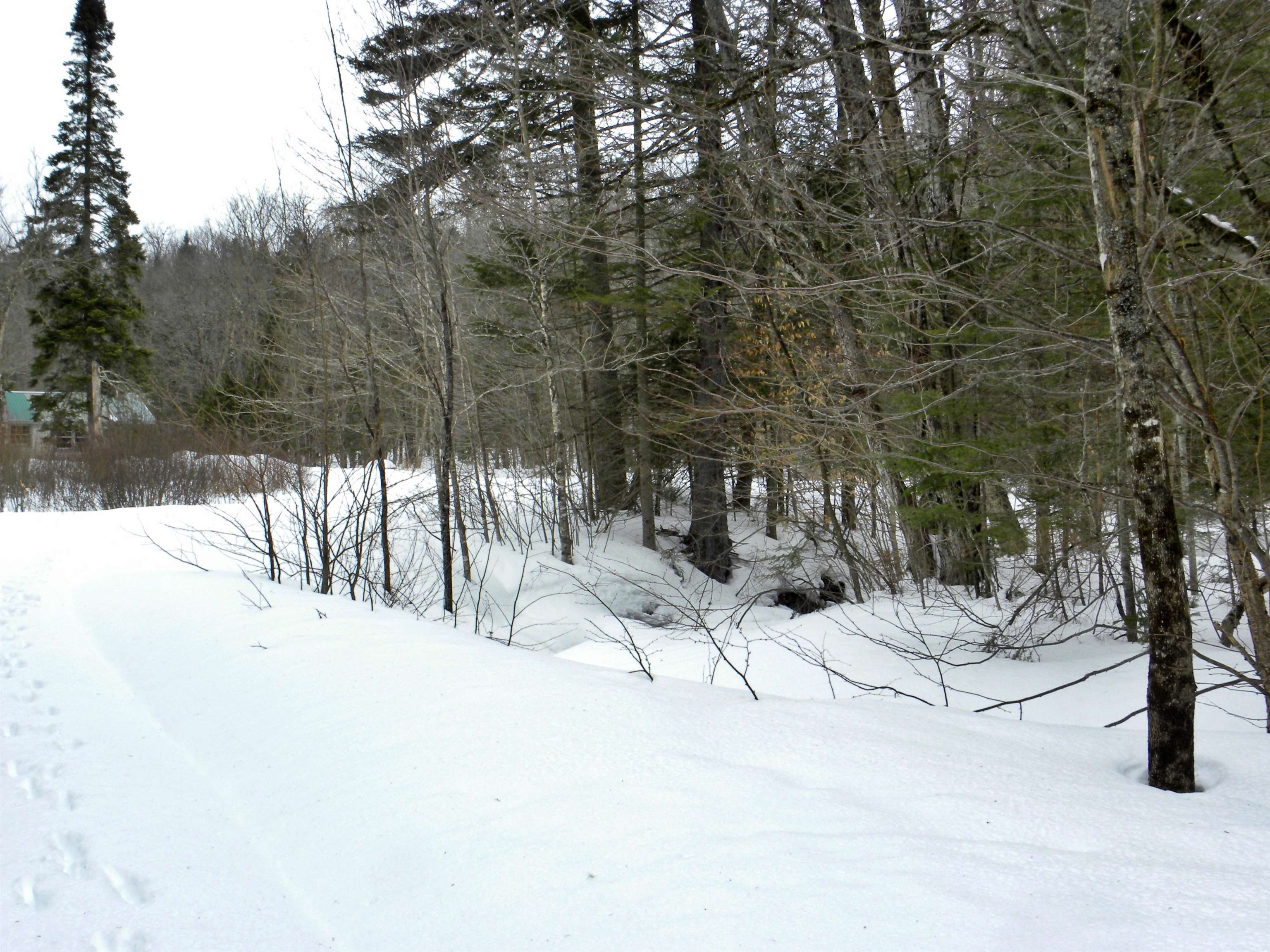 - Burbank Road Albany, VT 05820 - Photo 5 of 12 Gallery Image 5