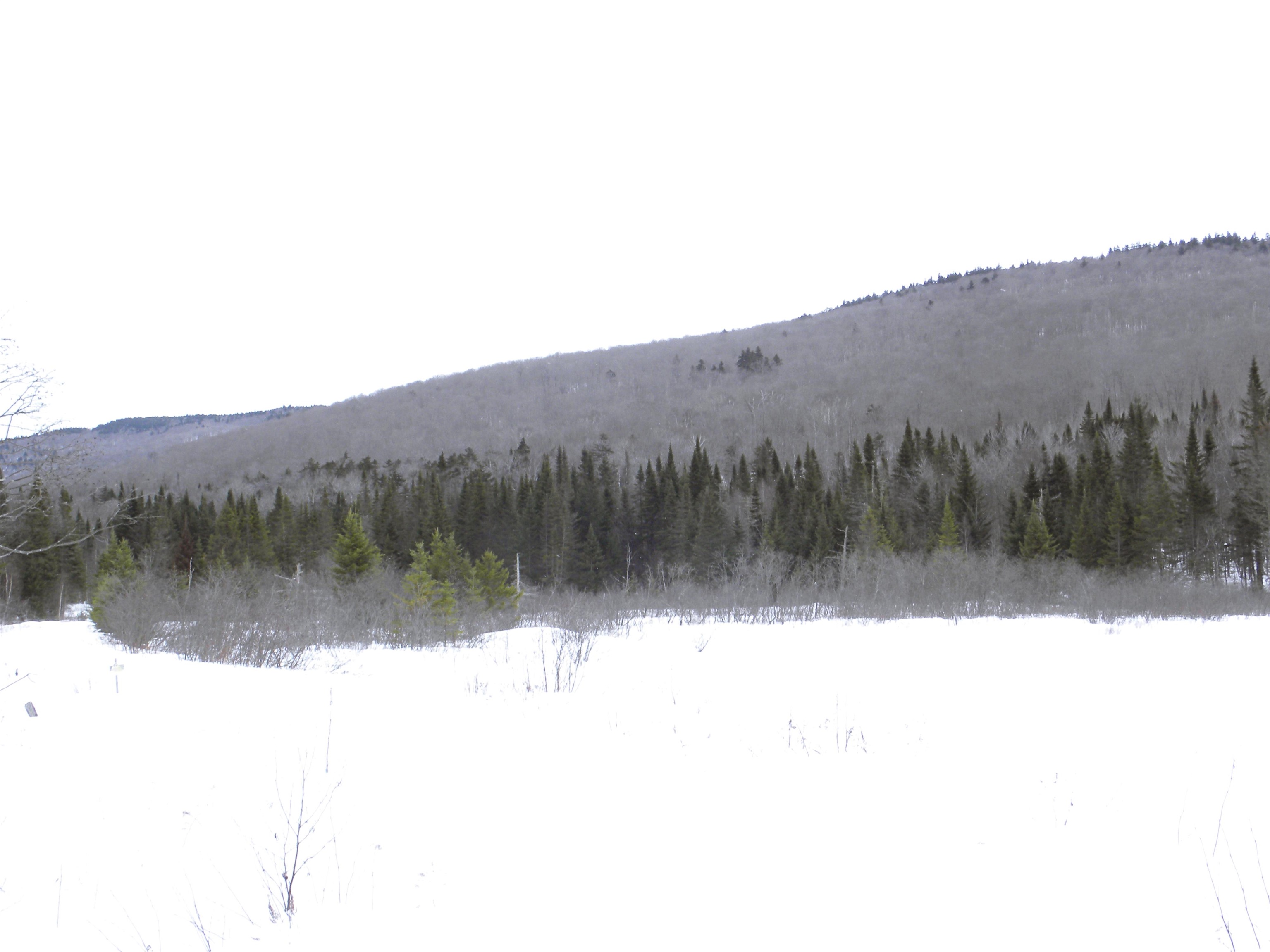 - Burbank Road Albany, VT 05820 - Photo 6 of 12 Gallery Image 6
