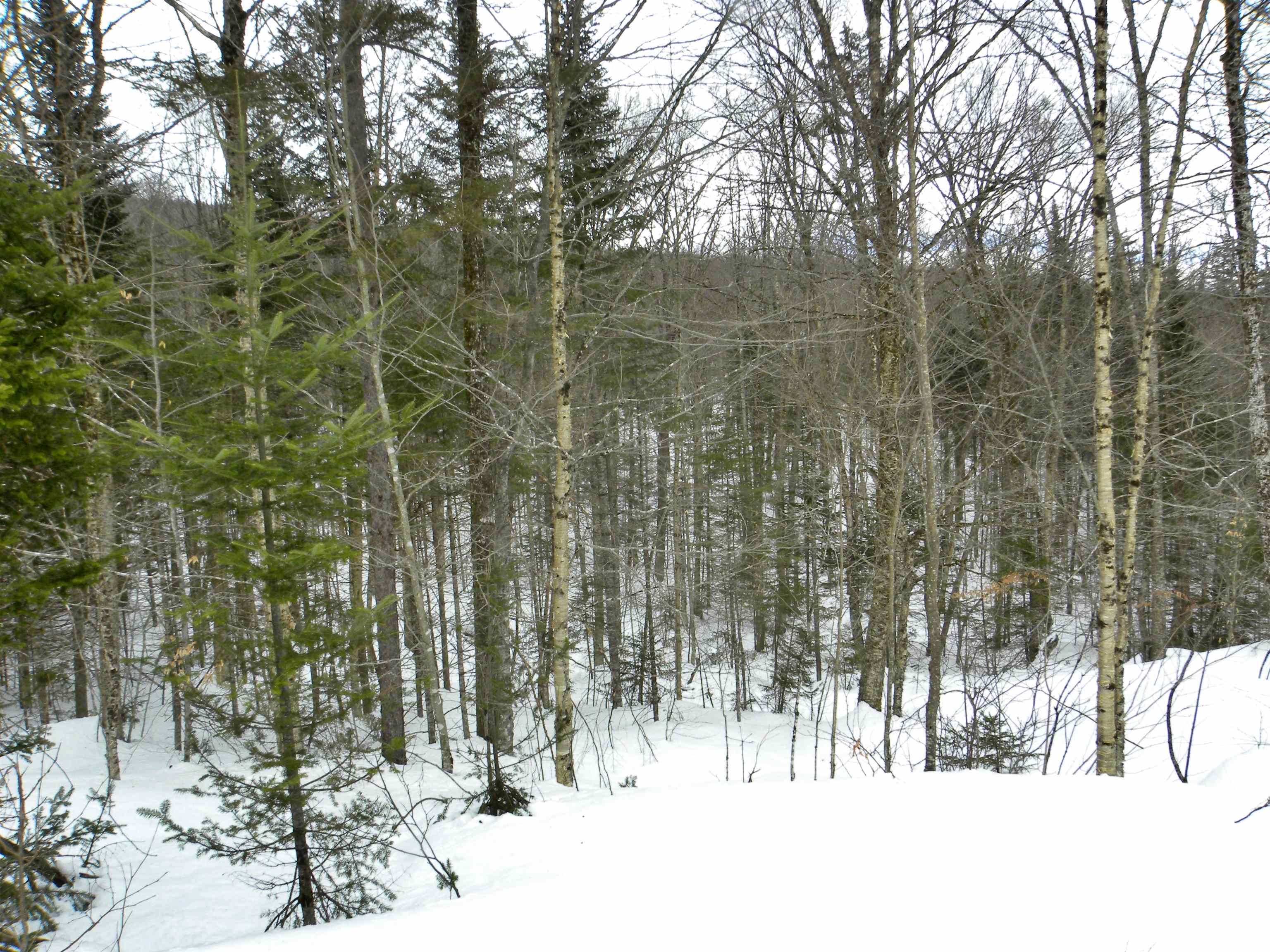 - Burbank Road Albany, VT 05820 - Photo 8 of 12 Gallery Image 8
