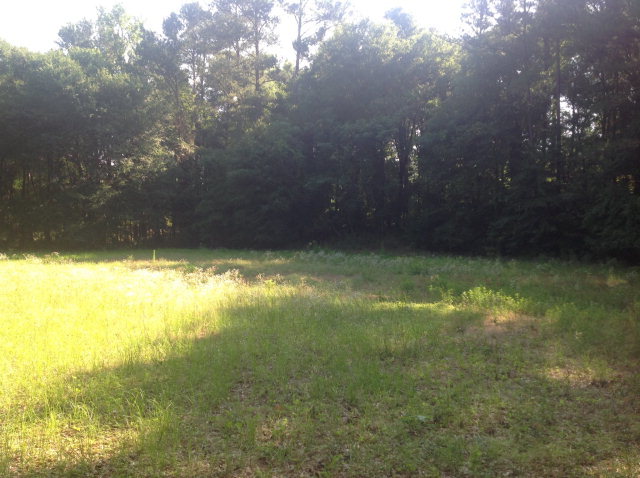 Lot 7 Rum Creek Road Juliette, GA 31046 - Photo 12 of 22 Additional Photo