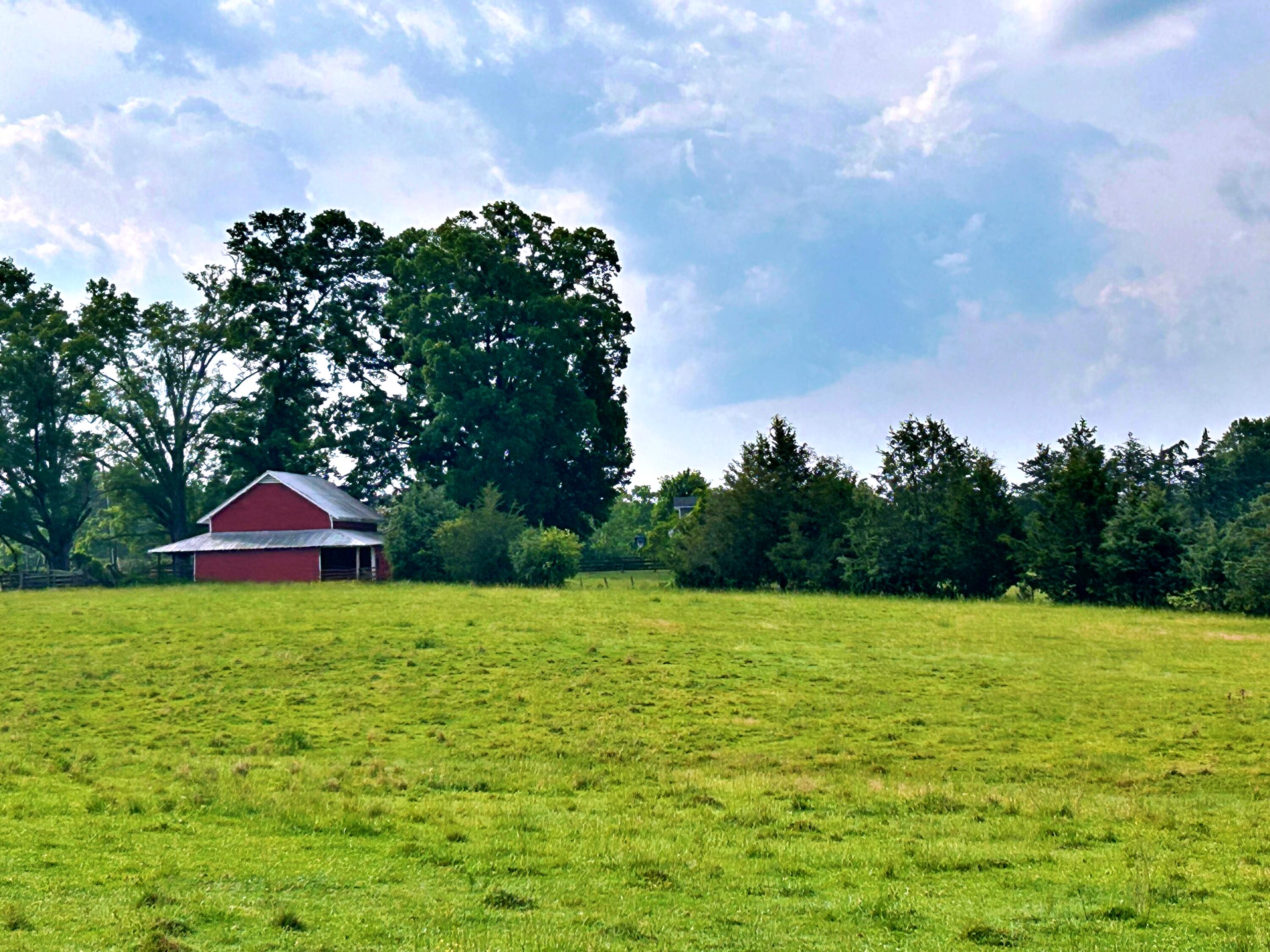 2221 Deadfall Road West Greenwood, SC 29649 - Photo 3 of 65 batch_IMG_0669