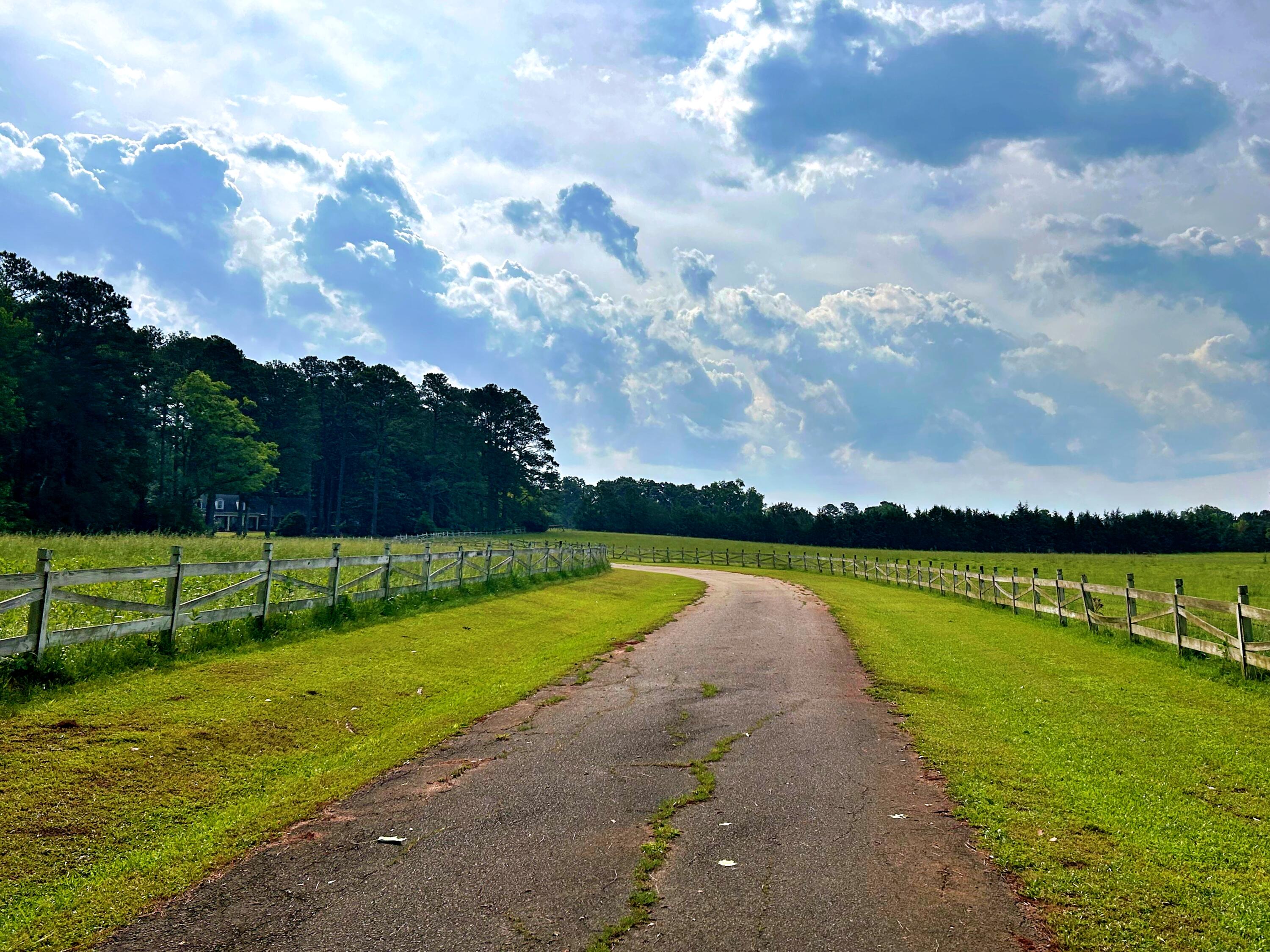 2221 Deadfall Road West Greenwood, SC 29649 - Photo 63 of 65 batch_IMG_0653