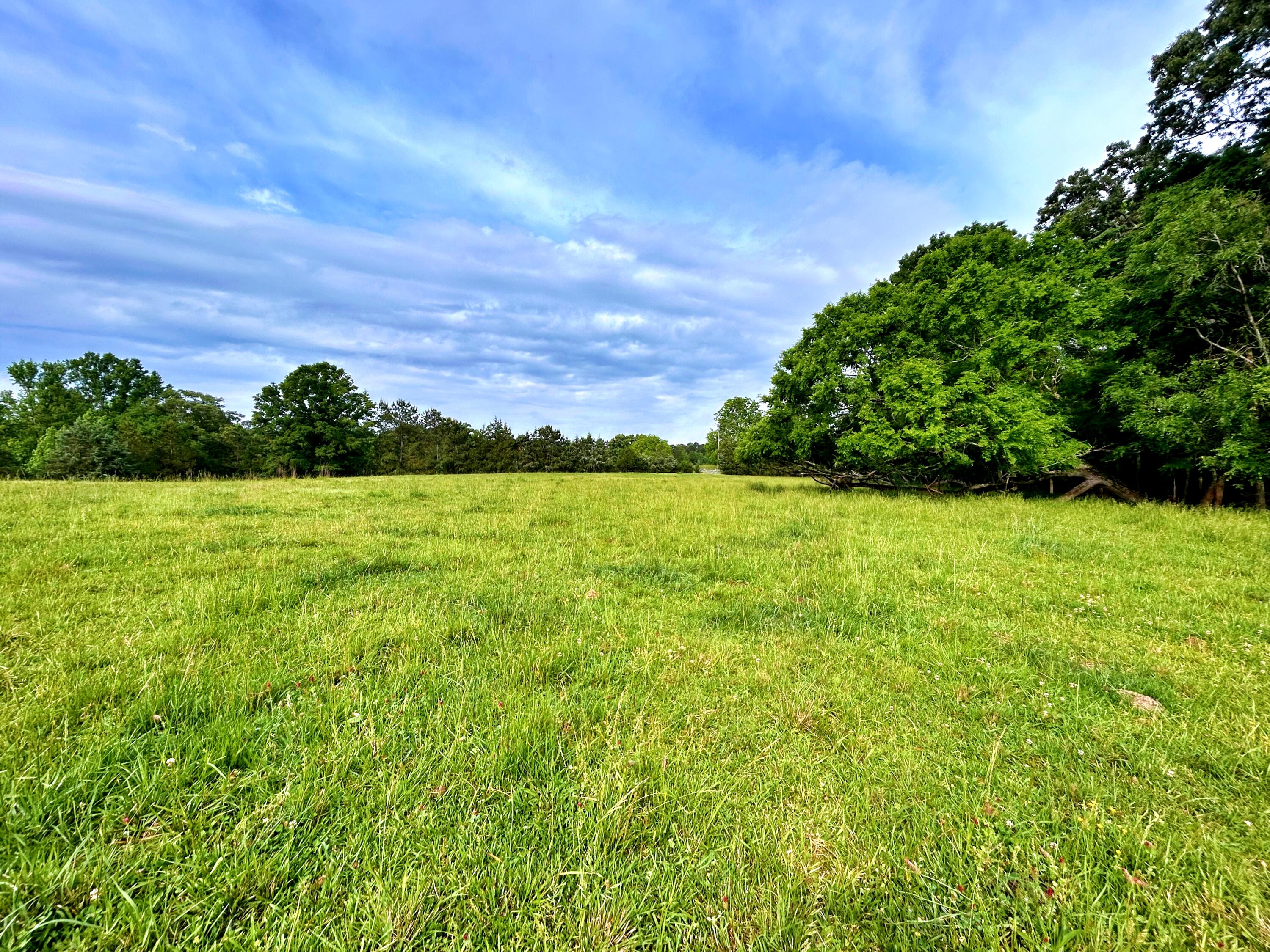 2221 Deadfall Road West Greenwood, SC 29649 - Photo 65 of 65 batch_IMG_0661