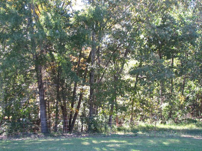 1501 Reed Road Ten Mile, TN 37880 - Photo 33 of 36 IMG_3822 (Copy)