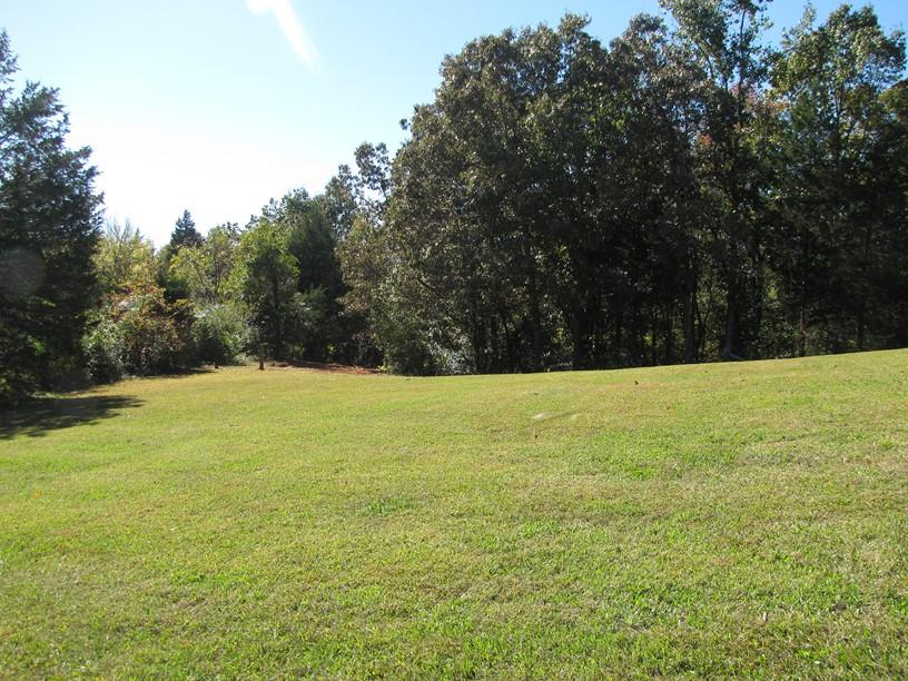 1501 Reed Road Ten Mile, TN 37880 - Photo 5 of 36 IMG_3792 (Copy)