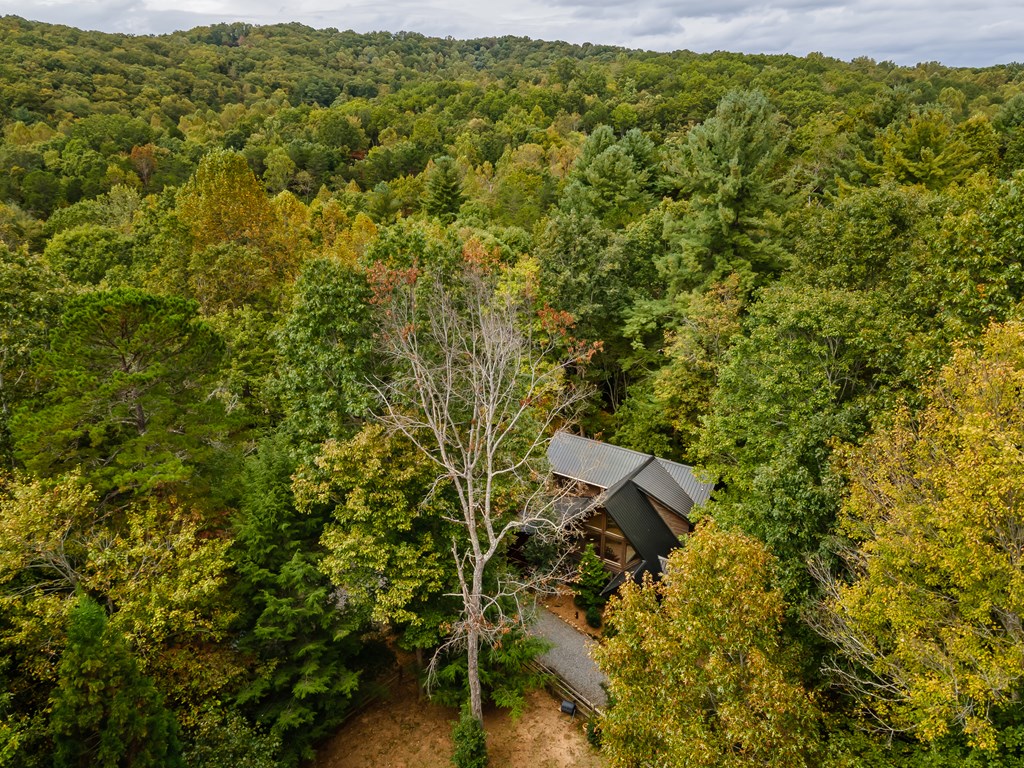 11 Rabbit Ridge Run Morganton, GA 30560 - Photo 74 of 84