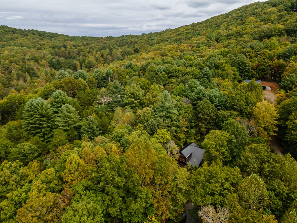 11 Rabbit Ridge Run Morganton, GA 30560 - Photo 75 of 84