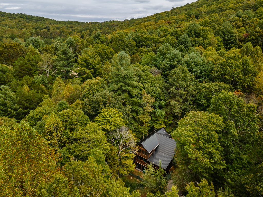 11 Rabbit Ridge Run Morganton, GA 30560 - Photo 76 of 84