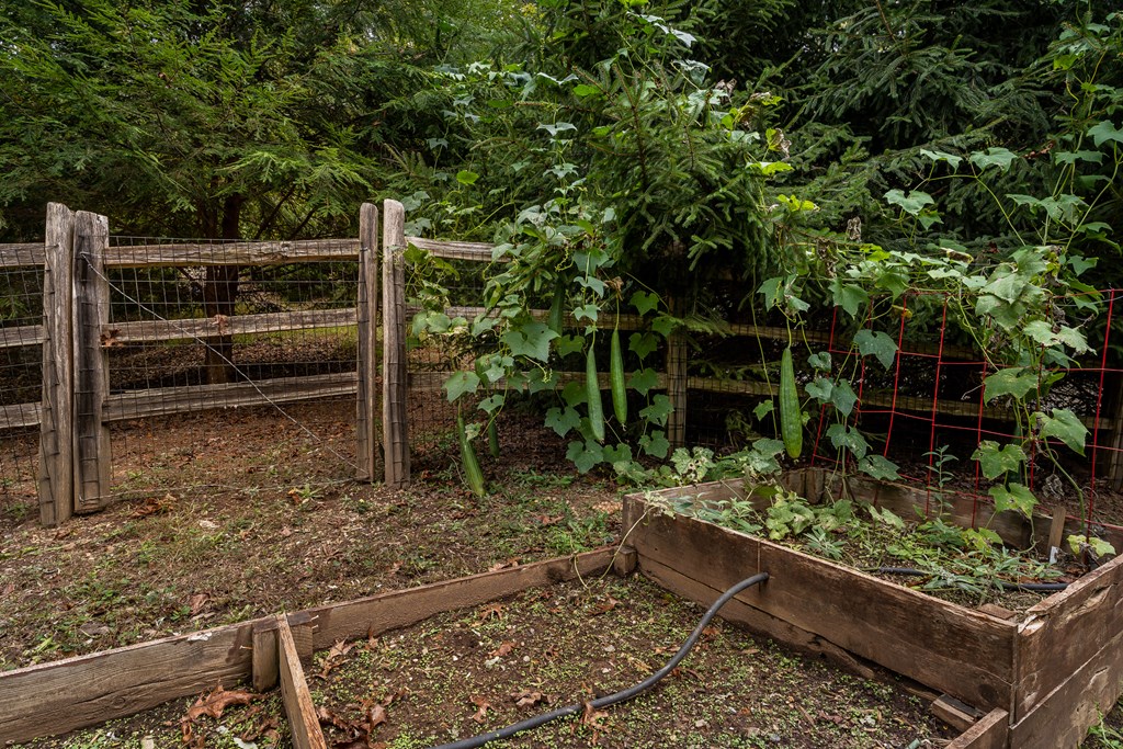 11 Rabbit Ridge Run Morganton, GA 30560 - Photo 84 of 84