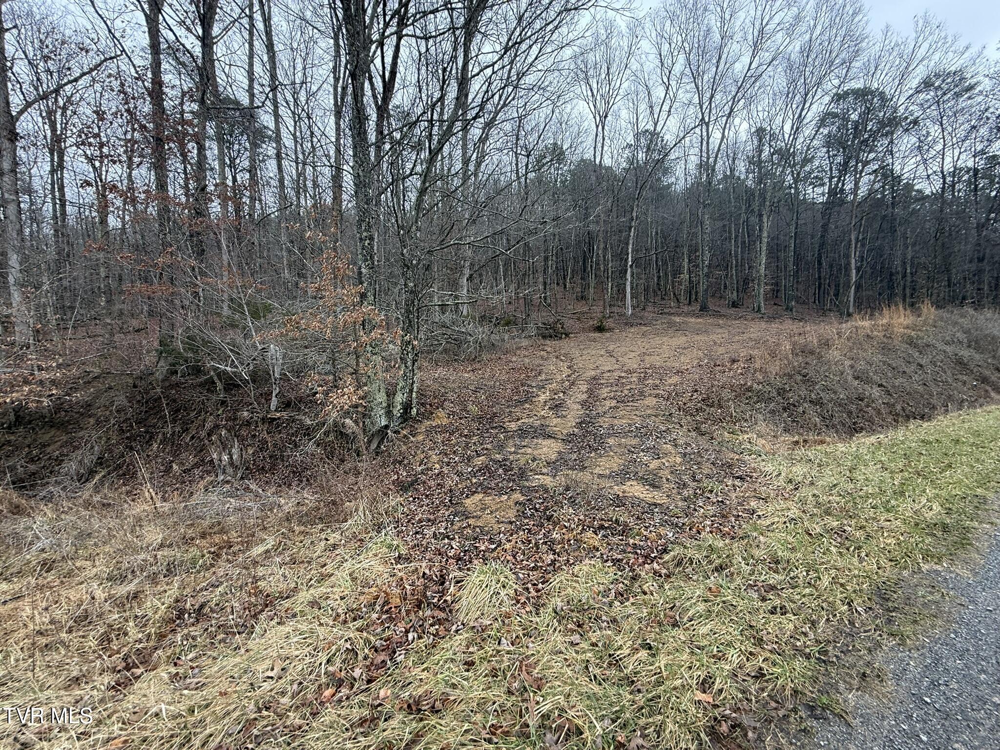 0 Yuma Road, Unit 2 Gate City, VA 24251 - Photo 21 of 32 IMG_7584