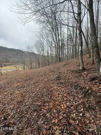 $19,750 | 0 Yuma Road, Unit 2, Gate City, VA 24251