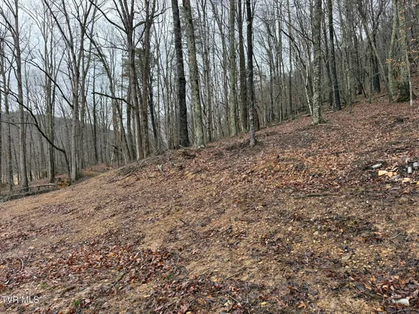 $19,750 | 0 Yuma Road, Unit 2, Gate City, VA 24251