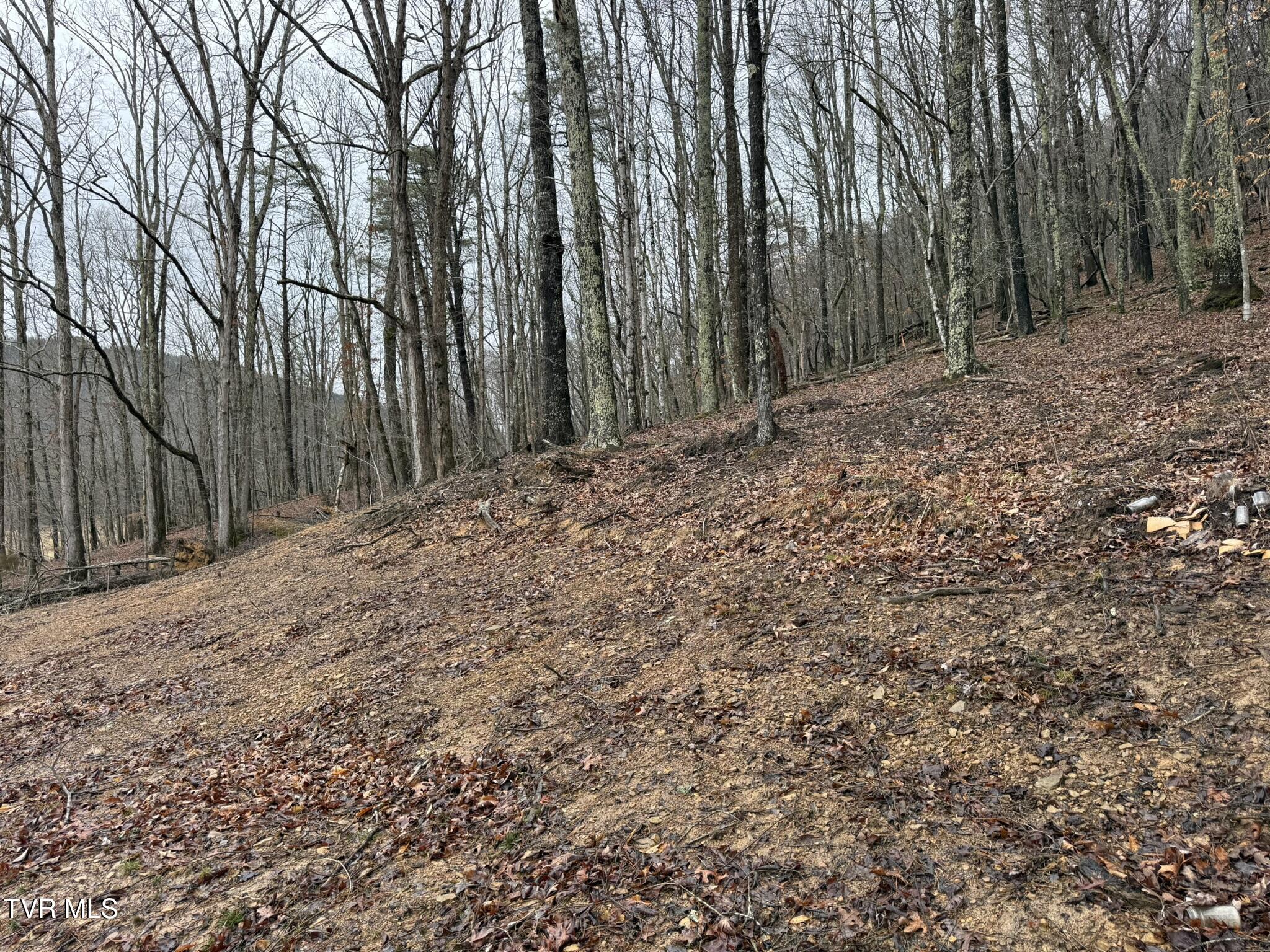 0 Yuma Road, Unit 2 Gate City, VA 24251 - Photo 25 of 32 IMG_7594