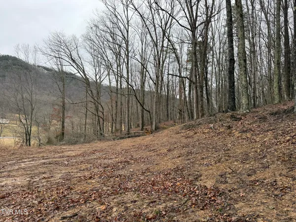 $19,750 | 0 Yuma Road, Unit 2, Gate City, VA 24251