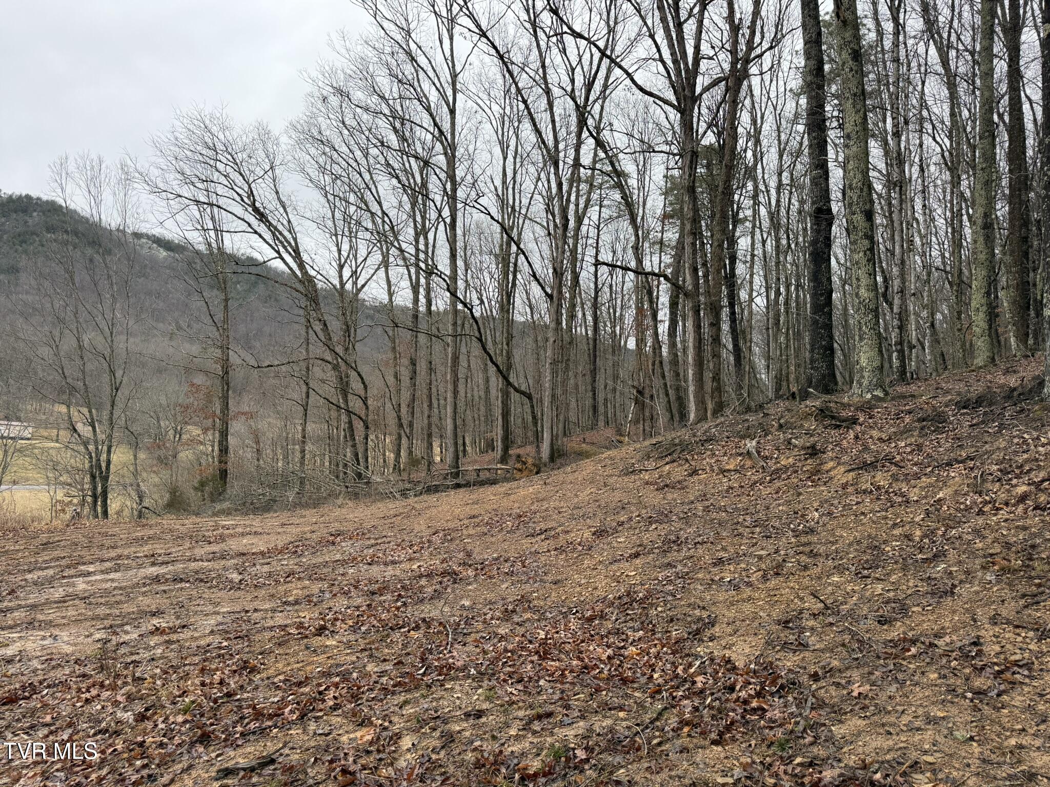 0 Yuma Road, Unit 2 Gate City, VA 24251 - Photo 26 of 32 IMG_7595