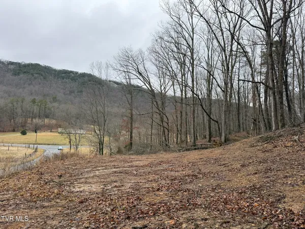 $19,750 | 0 Yuma Road, Unit 2, Gate City, VA 24251