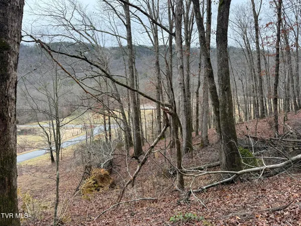 $19,750 | 0 Yuma Road, Unit 2, Gate City, VA 24251