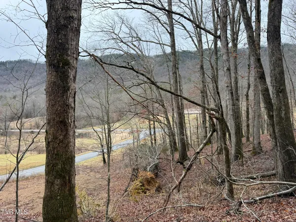 $19,750 | 0 Yuma Road, Unit 2, Gate City, VA 24251