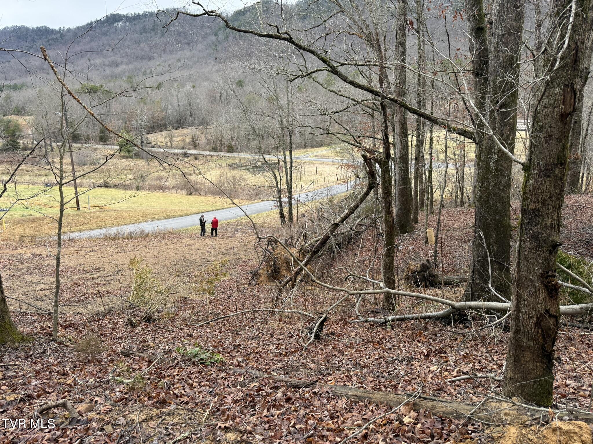 0 Yuma Road, Unit 2 Gate City, VA 24251 - Photo 32 of 32 IMG_7602