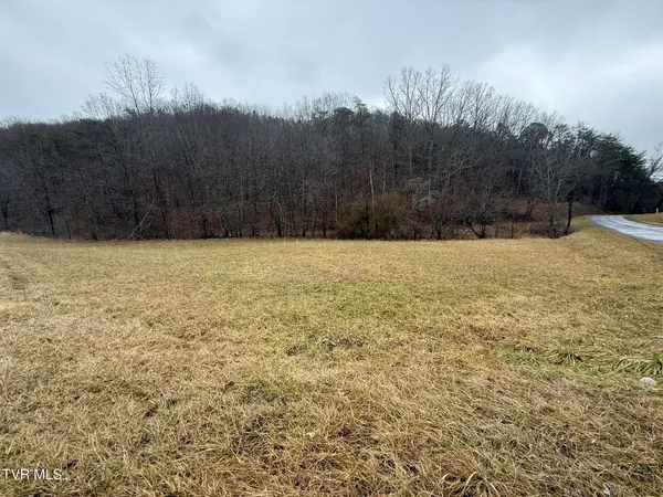 $19,750 | 0 Yuma Road, Unit 2, Gate City, VA 24251