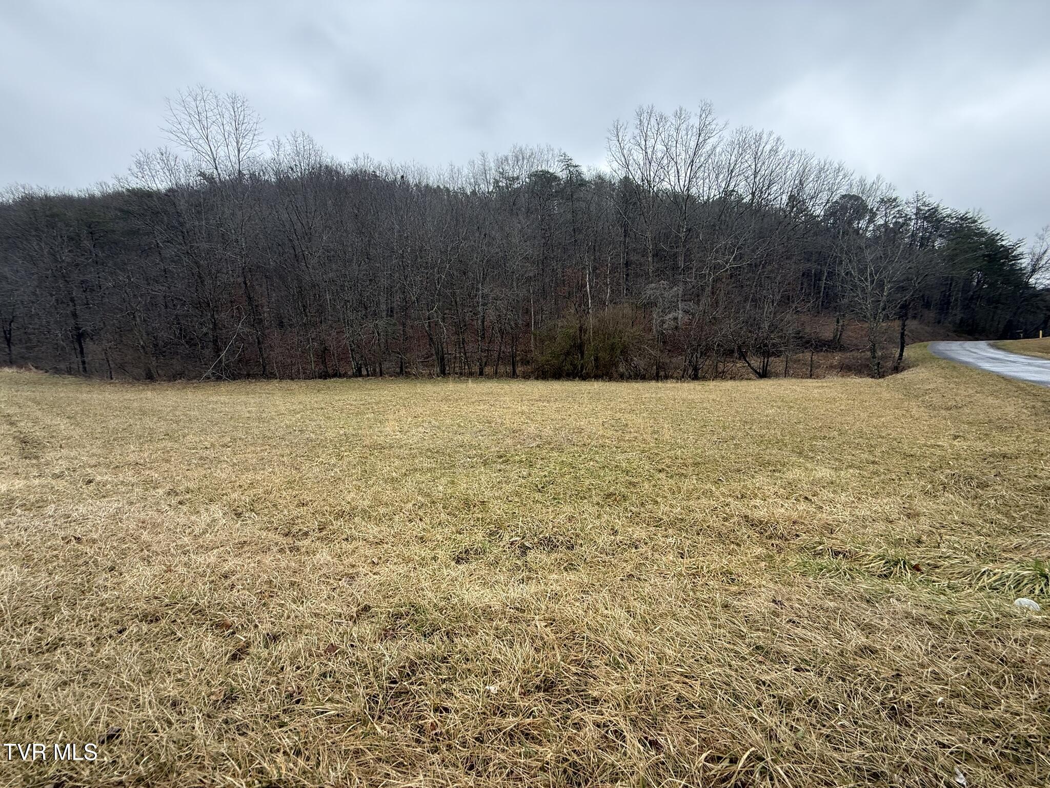 0 Yuma Road, Unit 2 Gate City, VA 24251 - Photo 8 of 32 IMG_7567