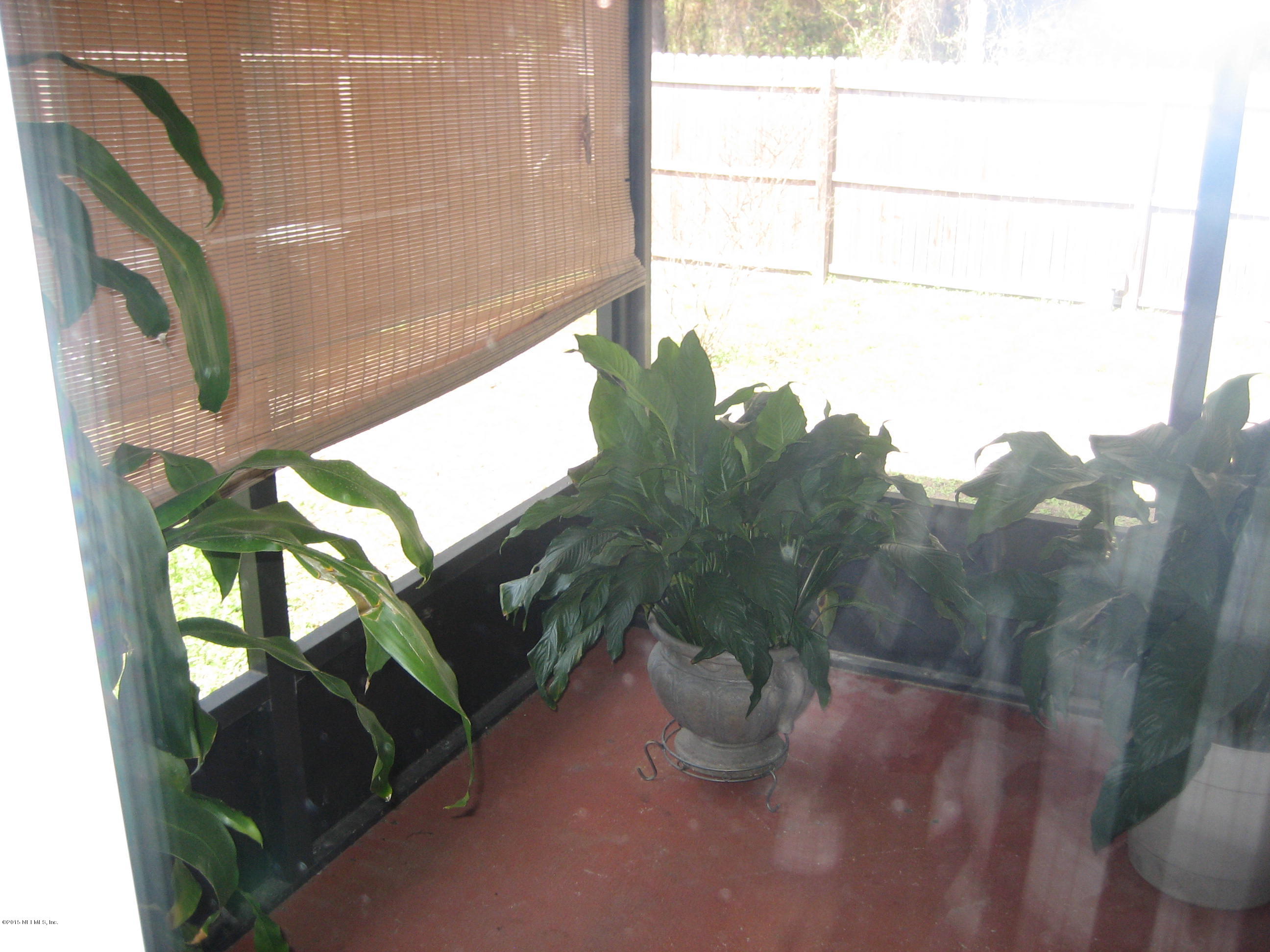 3236 Carlotta Road Middleburg, FL 32068 - Photo 17 of 18 a view of a potted plant with a tree
