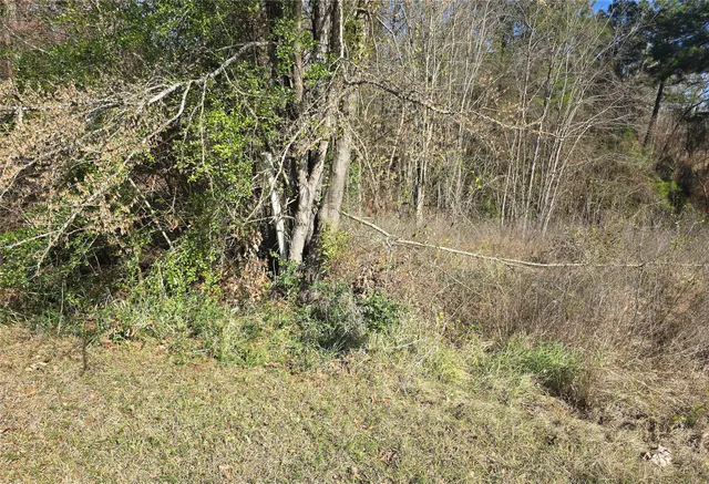 $25,000 | 0 Plum Tree Circle, Livingston, TX 77351