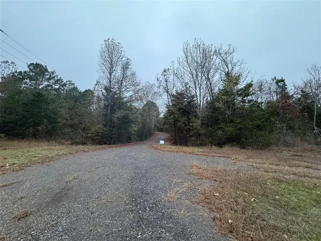 a view of a yard with trees in the background