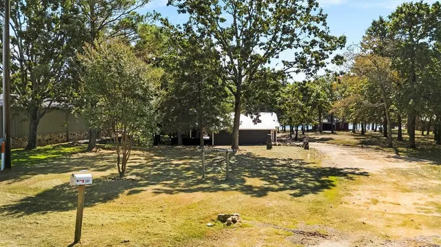 a view of a yard with plants and trees