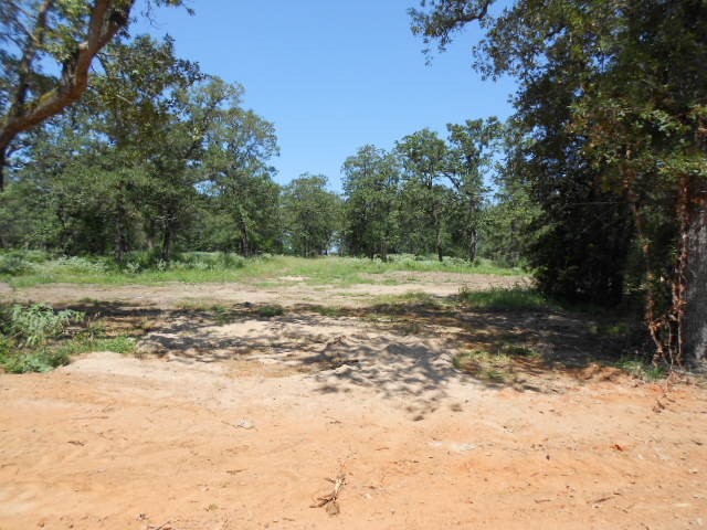 5 ) Road McDade, TX 78650 - Photo 1 of 1