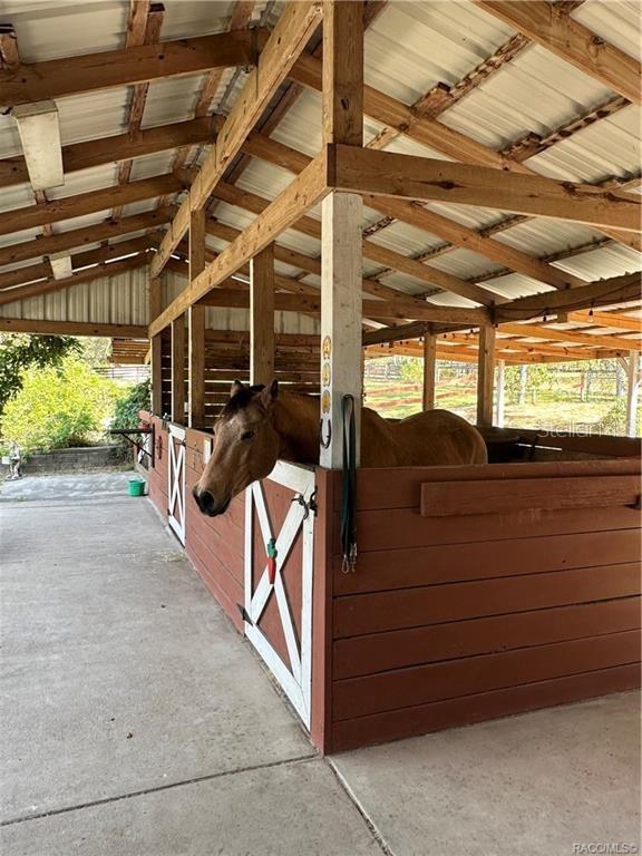 4295 North Bridge Road Beverly Hills, FL 34465 - Photo 37 of 79