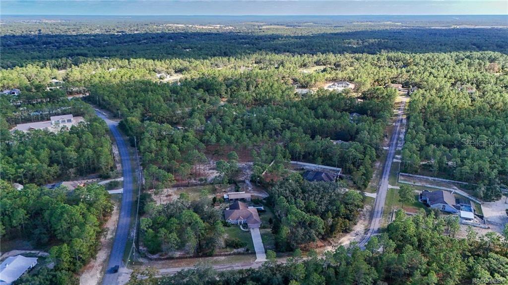 4295 North Bridge Road Beverly Hills, FL 34465 - Photo 58 of 79 a view of a city with lush green forest