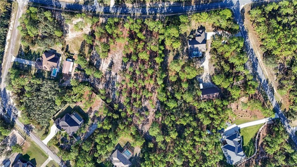 4295 North Bridge Road Beverly Hills, FL 34465 - Photo 59 of 79 an aerial view of residential houses with outdoor space and trees